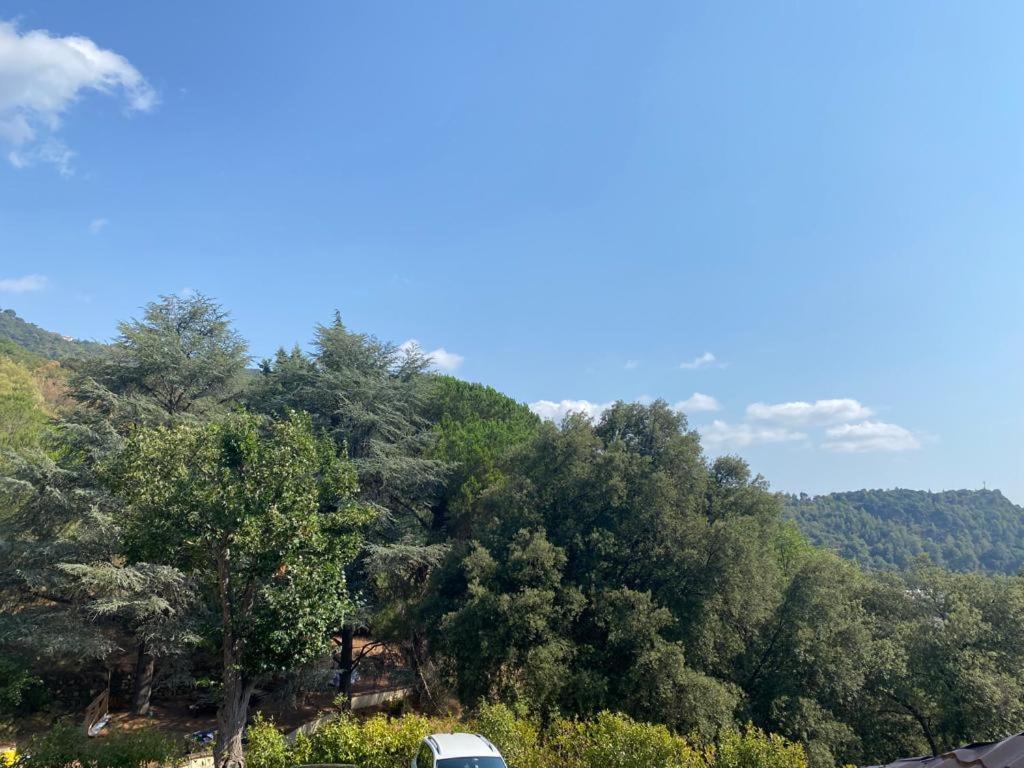 Domaine Des Anges Aparthotel Amélie-les-Bains-Palalda Екстериор снимка